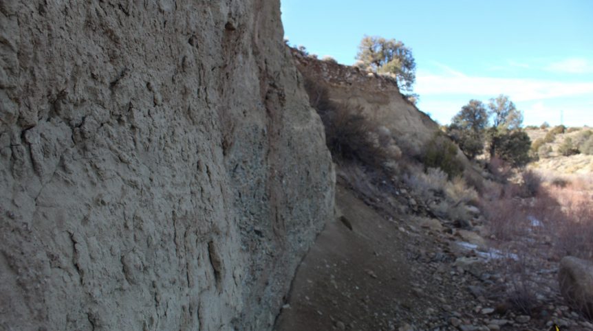 Golden Buckeye #1 & #2 — photograph 170 of the claim ground, Douglas County, Nevada