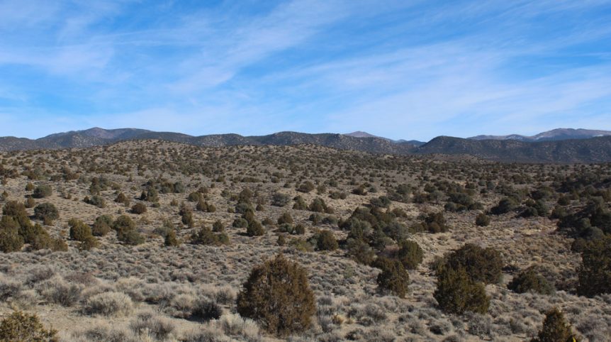 Golden Buckeye #1 & #2 — photograph 172 of the claim ground, Douglas County, Nevada