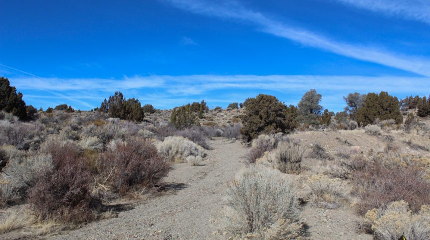 Golden Buckeye #1 & #2 — photograph 173 of the claim ground, Douglas County, Nevada