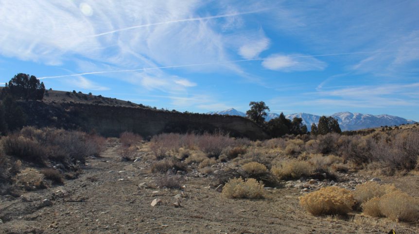 Golden Buckeye #1 & #2 — photograph 174 of the claim ground, Douglas County, Nevada