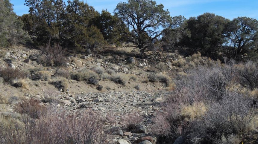 Golden Buckeye #1 & #2 — photograph 175 of the claim ground, Douglas County, Nevada