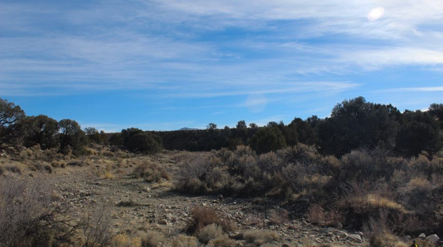 Golden Buckeye #1 & #2 — photograph 176 of the claim ground, Douglas County, Nevada