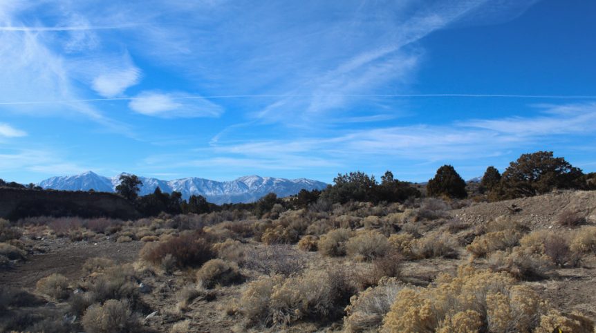 Golden Buckeye #1 & #2 — photograph 178 of the claim ground, Douglas County, Nevada