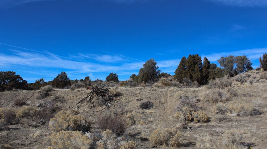 Golden Buckeye #1 & #2 — photograph 179 of the claim ground, Douglas County, Nevada