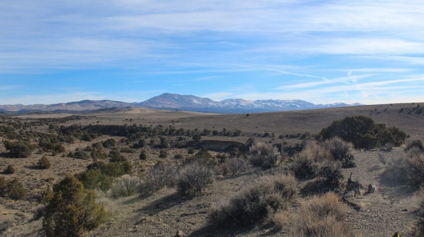 Golden Buckeye #1 & #2 — photograph 180 of the claim ground, Douglas County, Nevada