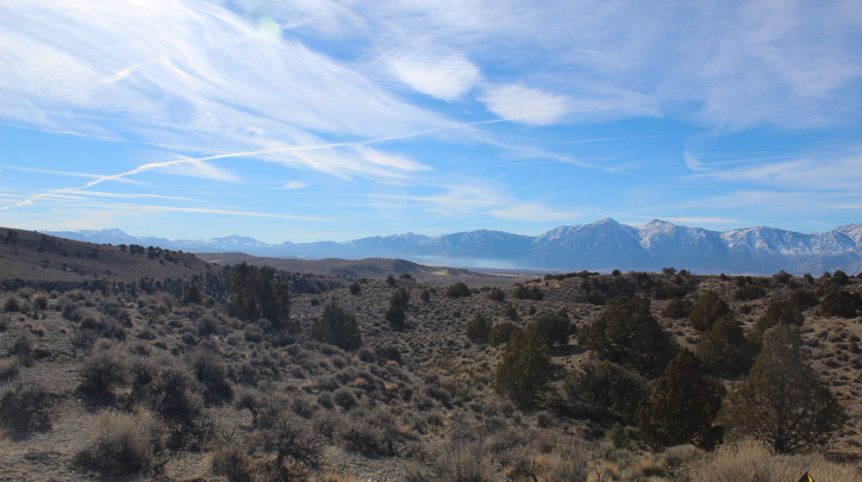 Golden Buckeye #1 & #2 — photograph 181 of the claim ground, Douglas County, Nevada