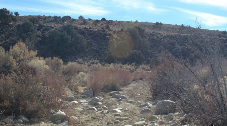 Golden Buckeye #1 & #2 — photograph 183 of the claim ground, Douglas County, Nevada