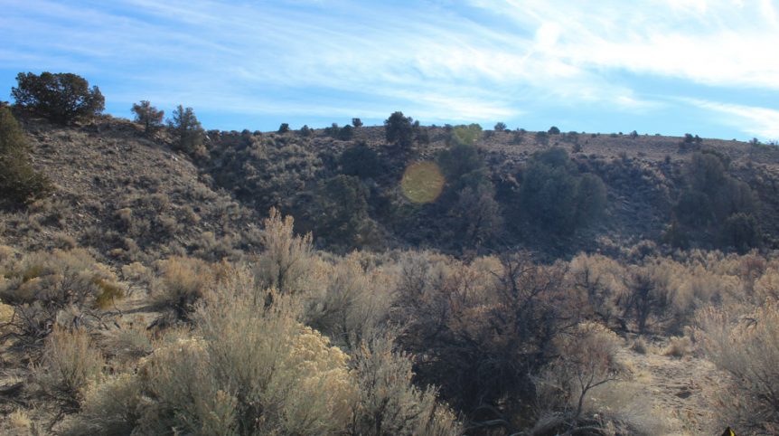 Golden Buckeye #1 & #2 — photograph 184 of the claim ground, Douglas County, Nevada