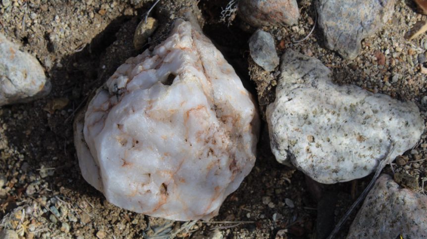 Golden Buckeye #1 & #2 — photograph 186 of the claim ground, Douglas County, Nevada