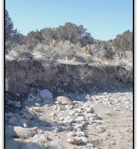 Golden Buckeye #1 & #2 — photograph 187 of the claim ground, Douglas County, Nevada