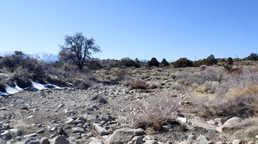 Golden Buckeye #1 & #2 — historic mine workings on the claim, Douglas County, Nevada