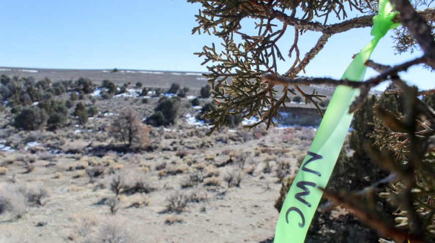 Golden Buckeye #1 & #2 — historic mine workings on the claim, Douglas County, Nevada
