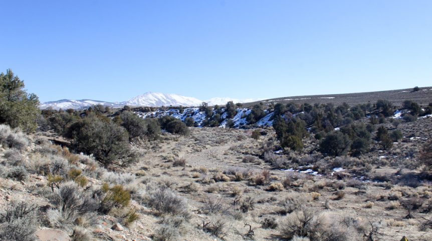 Golden Buckeye #1 & #2 — historic mine workings on the claim, Douglas County, Nevada