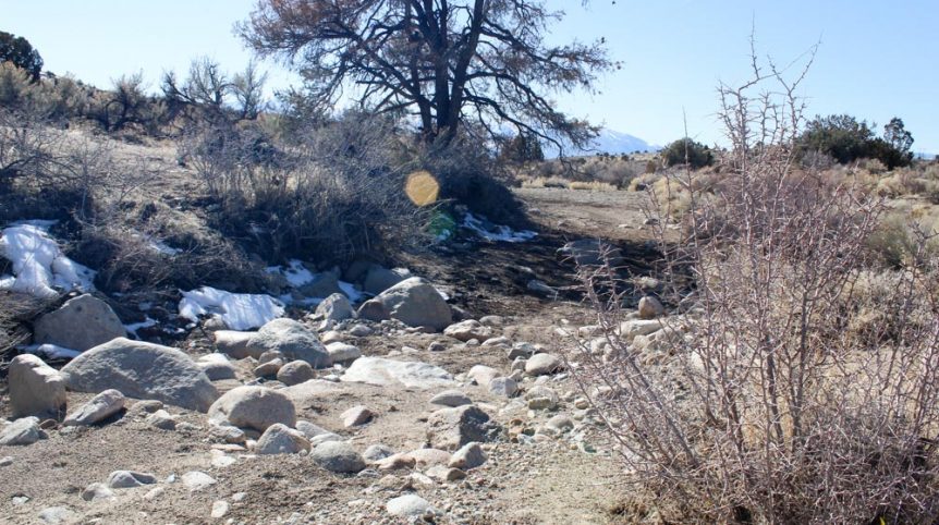 Golden Buckeye #1 & #2 — historic mine workings on the claim, Douglas County, Nevada