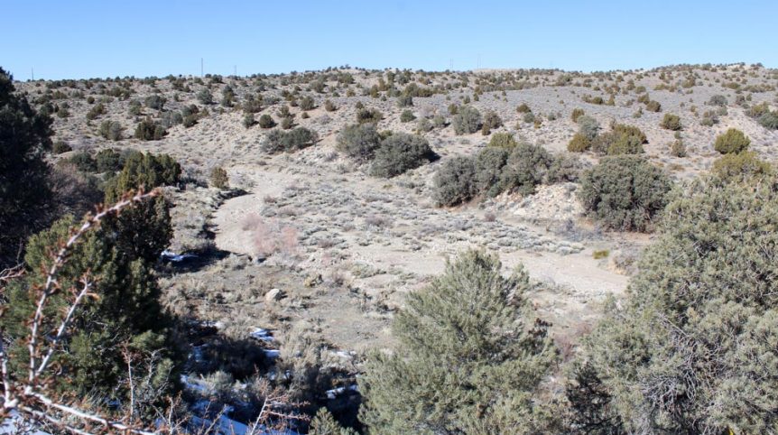Golden Buckeye #1 & #2 — historic mine workings on the claim, Douglas County, Nevada