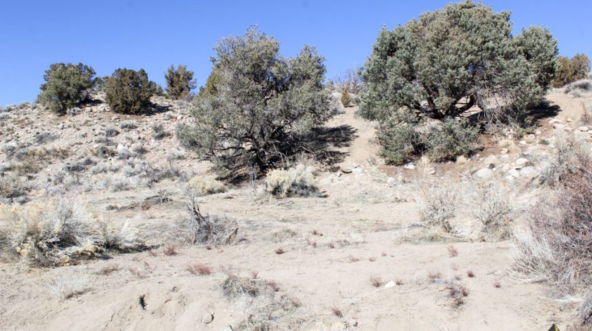 Golden Buckeye #1 & #2 — historic mine workings on the claim, Douglas County, Nevada