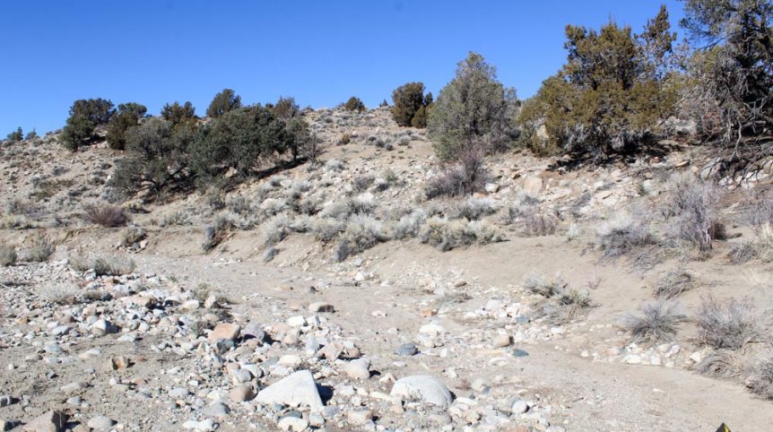 Golden Buckeye #1 & #2 — historic mine workings on the claim, Douglas County, Nevada