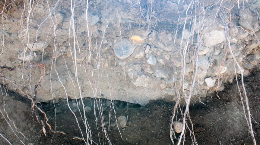 Golden Buckeye #1 & #2 — historic mine workings on the claim, Douglas County, Nevada