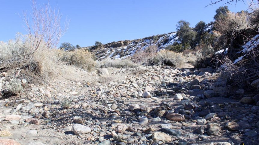 Golden Buckeye #1 & #2 — historic mine workings on the claim, Douglas County, Nevada