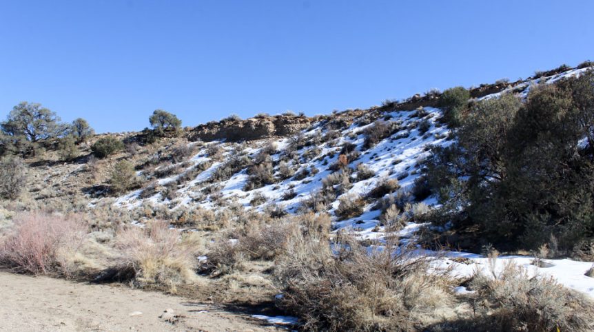 Golden Buckeye #1 & #2 — historic mine workings on the claim, Douglas County, Nevada