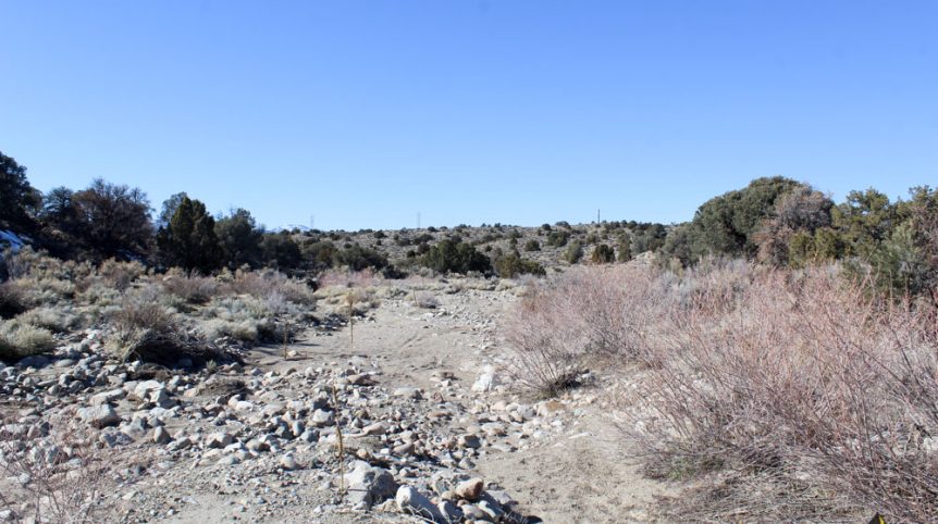 Golden Buckeye #1 & #2 — historic mine workings on the claim, Douglas County, Nevada