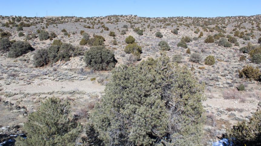 Lower Buckeye — historic mine workings on the claim, Douglas County, Nevada