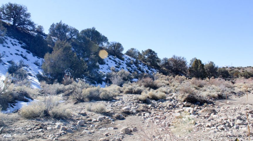 Golden Buckeye #1 & #2 — historic mine workings on the claim, Douglas County, Nevada