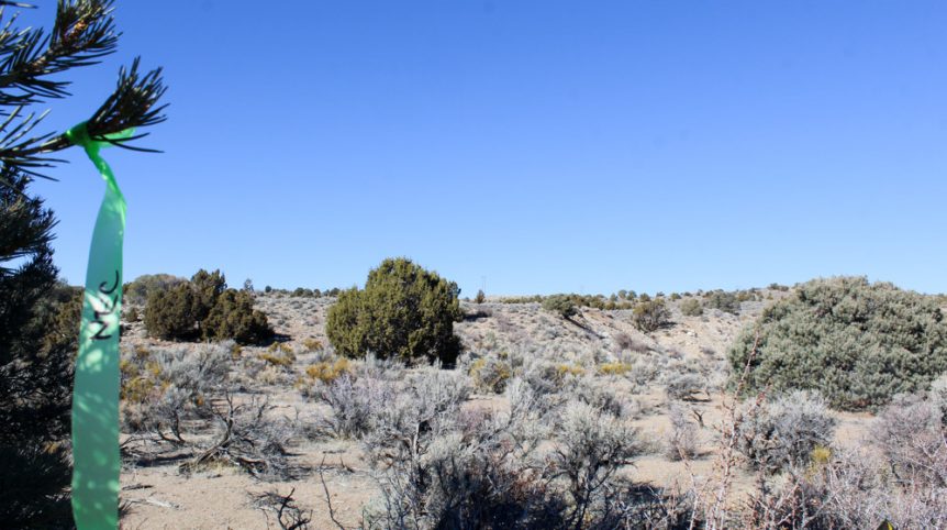 Golden Buckeye #1 & #2 — historic mine workings on the claim, Douglas County, Nevada