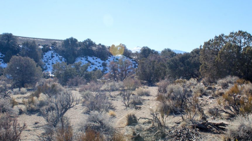 Golden Buckeye #1 & #2 — historic mine workings on the claim, Douglas County, Nevada