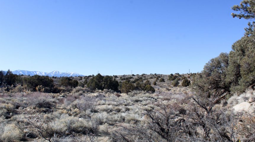 Golden Buckeye #1 & #2 — historic mine workings on the claim, Douglas County, Nevada