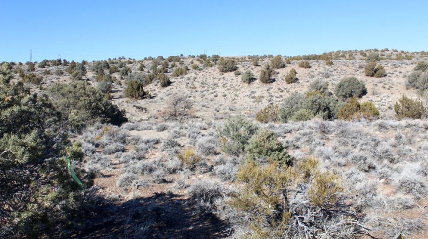 Golden Buckeye #1 & #2 — historic mine workings on the claim, Douglas County, Nevada