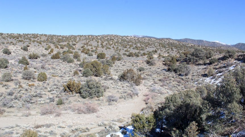 Golden Buckeye #1 & #2 — historic mine workings on the claim, Douglas County, Nevada