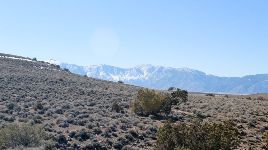 Golden Buckeye #1 & #2 — historic mine workings on the claim, Douglas County, Nevada