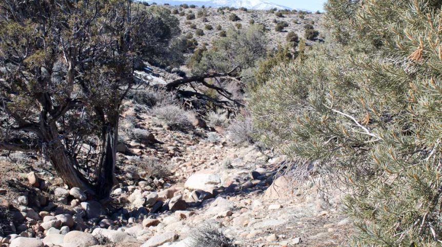 Golden Buckeye #1 & #2 — historic mine workings on the claim, Douglas County, Nevada