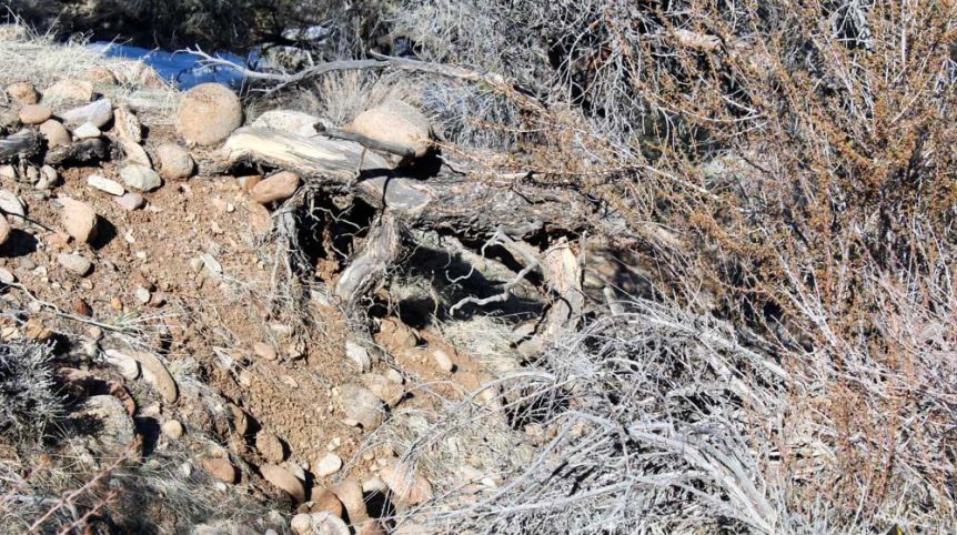 Golden Buckeye #1 & #2 — historic mine workings on the claim, Douglas County, Nevada