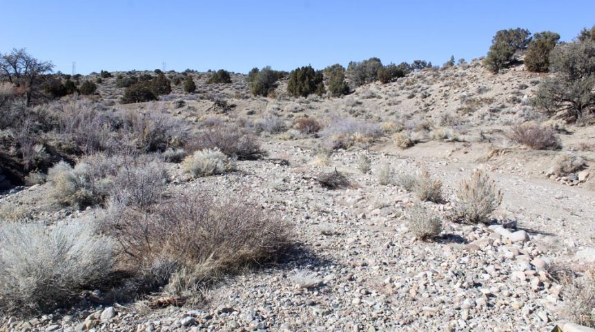 Golden Buckeye #1 & #2 — historic mine workings on the claim, Douglas County, Nevada