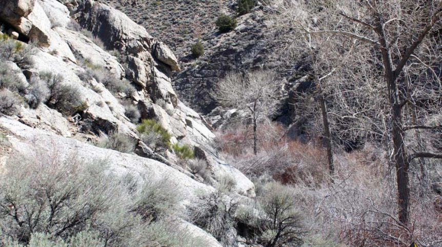 Rye Patch Canyon — photograph 14 of the claim ground, Pershing County, Nevada