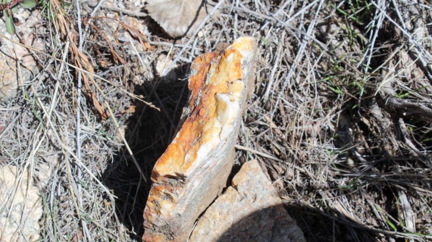Rye Patch Canyon — photograph 25 of the claim ground, Pershing County, Nevada