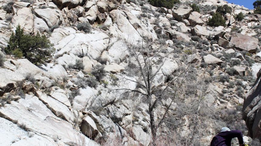 Rye Patch Canyon — photograph 41 of the claim ground, Pershing County, Nevada