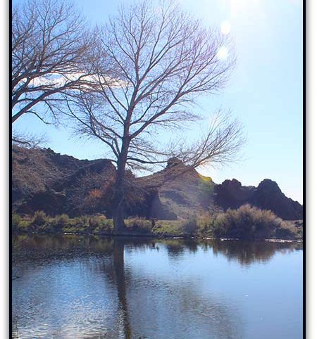 Quantum Solice — photograph 7 of the claim ground, Esmeralda County, Nevada