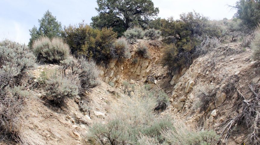 Preacher's Cabin — local town and services near the claim, Esmeralda County, Nevada