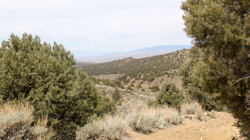 Preacher's Cabin — local town and services near the claim, Esmeralda County, Nevada