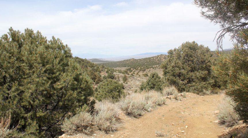 Preacher's Cabin — local town and services near the claim, Esmeralda County, Nevada