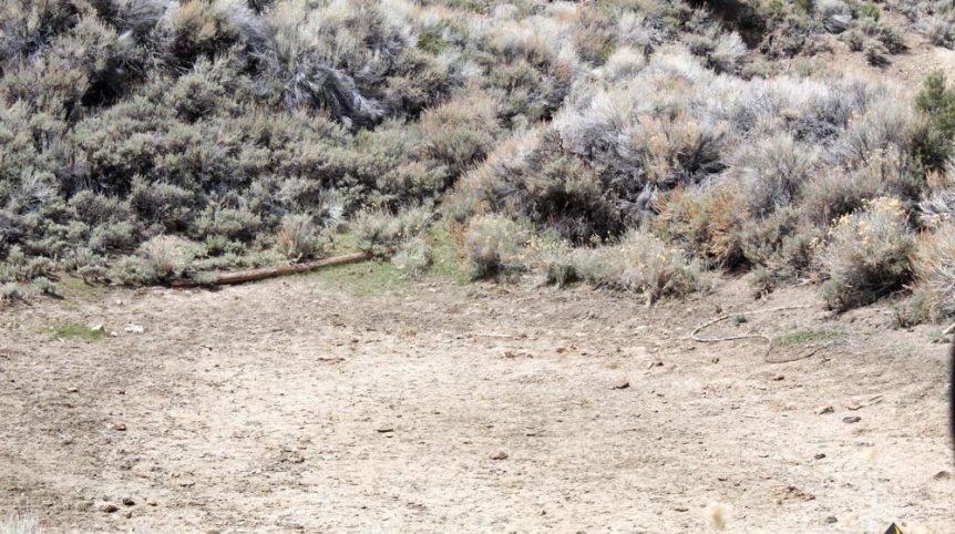 Preacher's Cabin — local town and services near the claim, Esmeralda County, Nevada