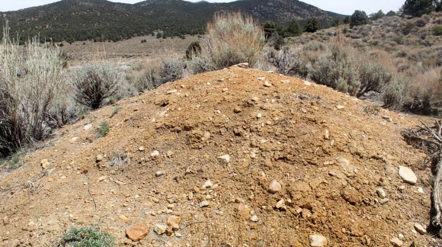 Preacher's Cabin — local town and services near the claim, Esmeralda County, Nevada