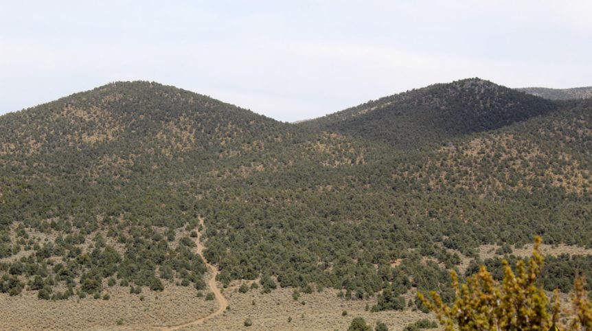 Preacher's Cabin — local town and services near the claim, Esmeralda County, Nevada