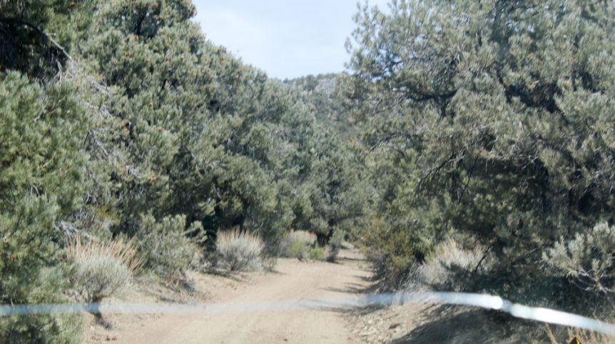 Preacher's Cabin — local town and services near the claim, Esmeralda County, Nevada