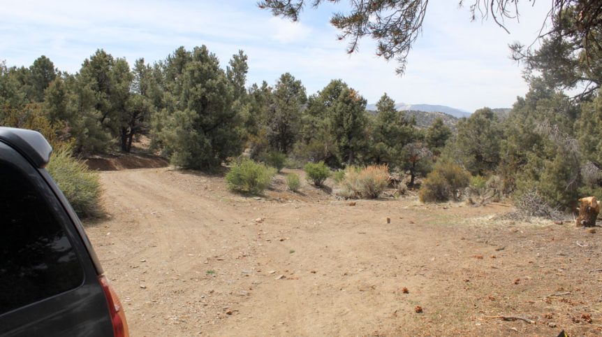 Preacher's Cabin — local town and services near the claim, Esmeralda County, Nevada