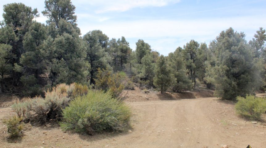 Preacher's Cabin — local town and services near the claim, Esmeralda County, Nevada
