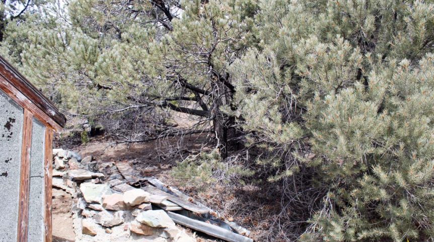 Preacher's Cabin — local town and services near the claim, Esmeralda County, Nevada